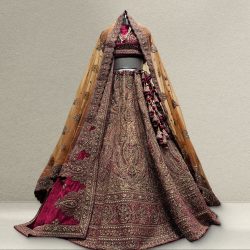 lehenga the house of raqeeb